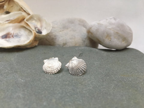 Tiny Scallop Stud Earrings