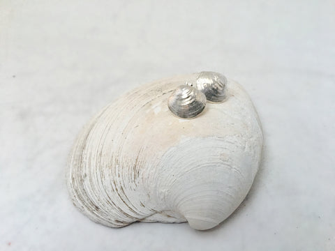 Tiny Clam Stud Earrings