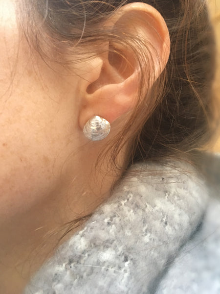 Tiny Clam Stud Earrings